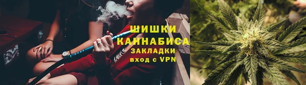 Альфа ПВП Инта