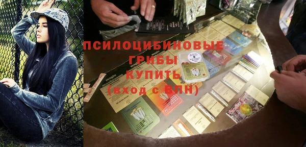 Альфа ПВП Инта