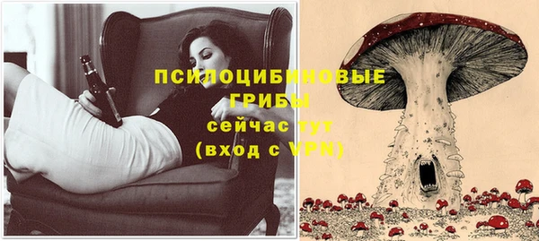 Альфа ПВП Иннополис