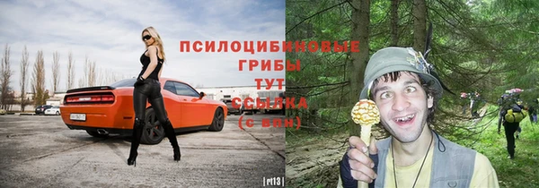 Альфа ПВП Инта
