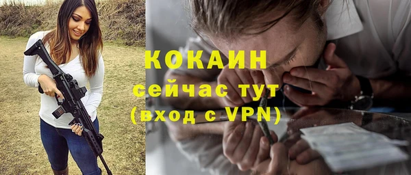 Альфа ПВП Инта