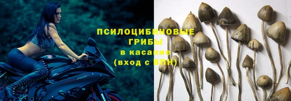 Альфа ПВП Иннополис